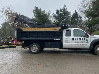 Tree Planting 11 Tree Planting 11