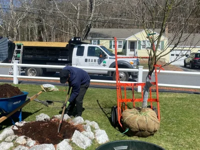 Tree Planting 12 Tree Planting 12