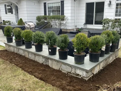 Tree Planting 21 Tree Planting 21